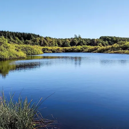 6 Person In Farso-by Traum * Farsø