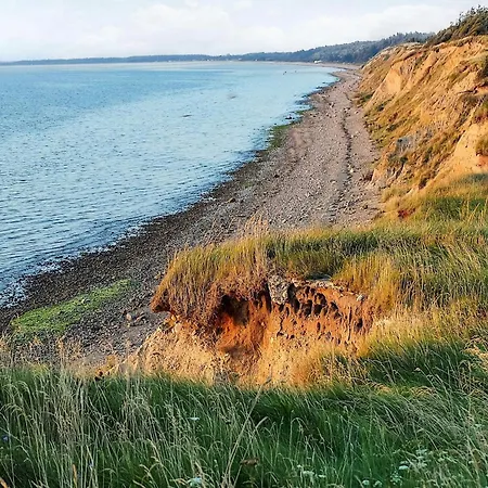 6 Person In Farso-by Traum *